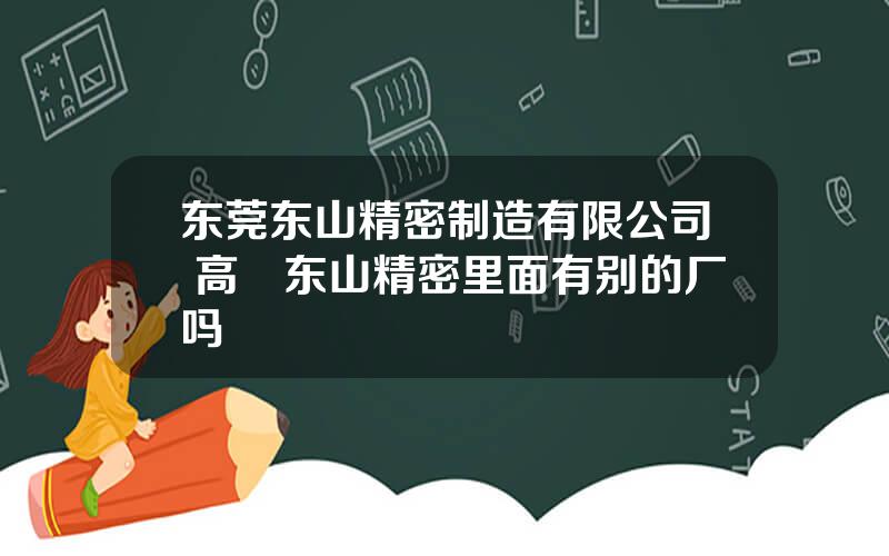 东莞东山精密制造有限公司 高埗东山精密里面有别的厂吗